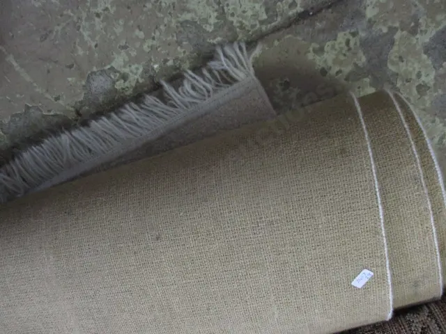 Rug Image 1++