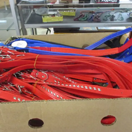 Dog Collars