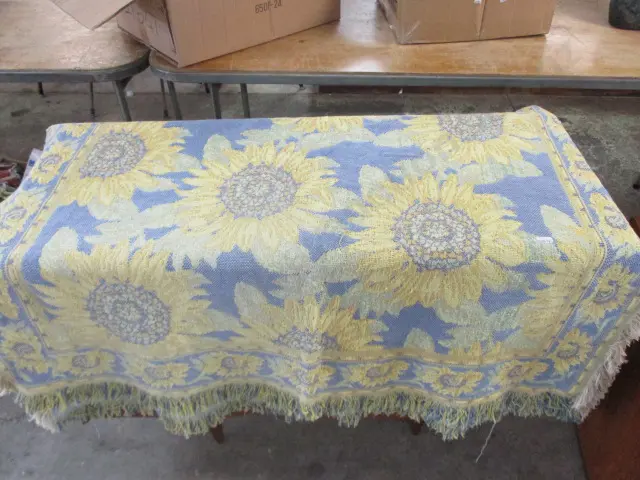 Rug Image 1++