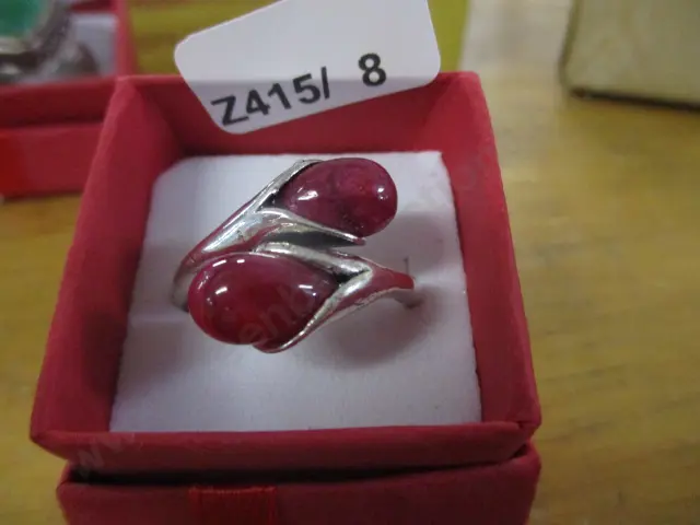 Ring Image 1++