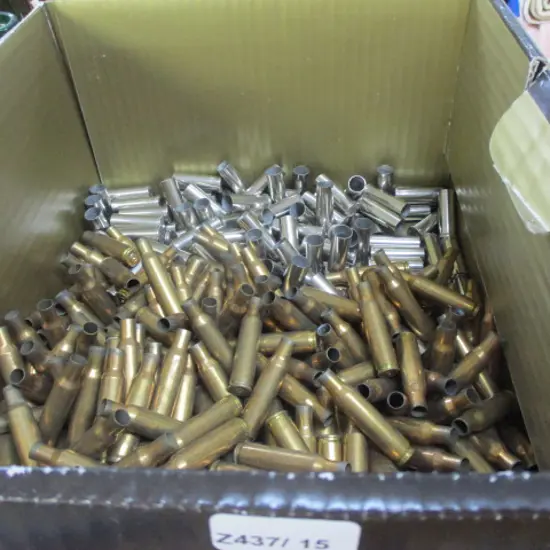Gunshells