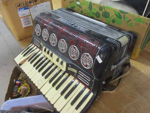 Piano Accordian Image 1++