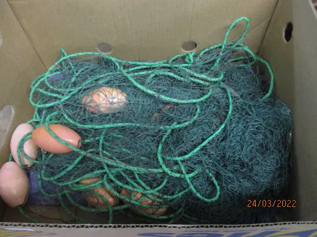Fishing Net Image 1++