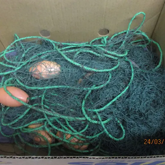 Fishing Net
