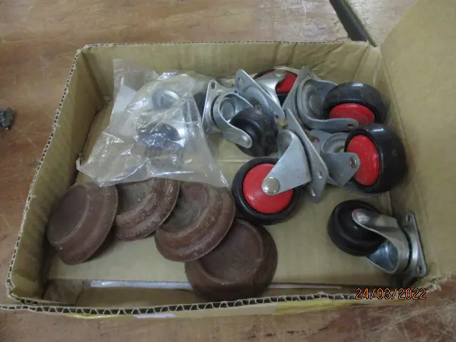 Castors Image 1++