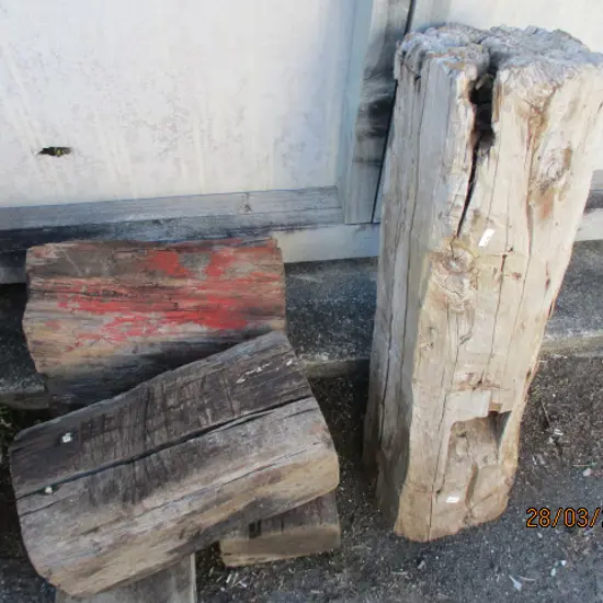 Garden Art Timber