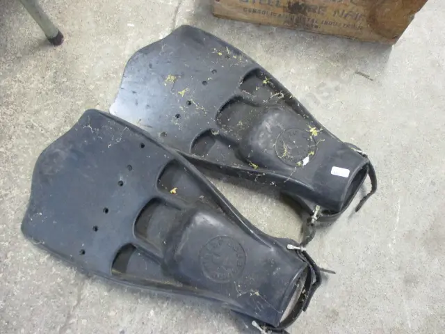 Flippers Image 1++