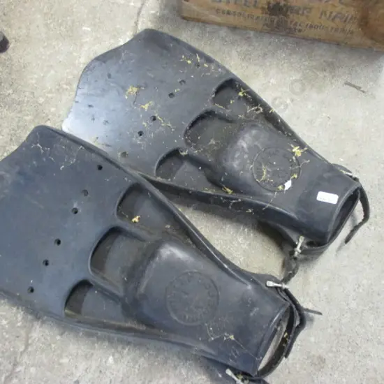 Flippers