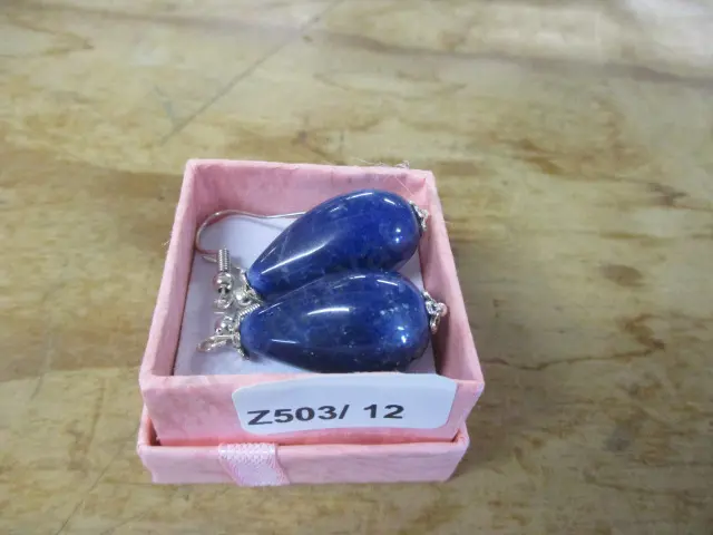 Earrings Image 1++