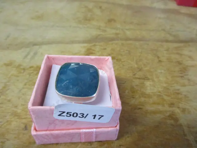 Ring Image 1++