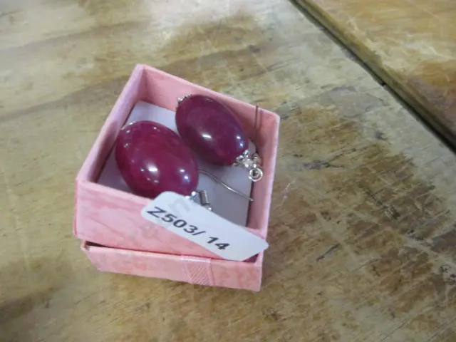 Earrings Image 1++