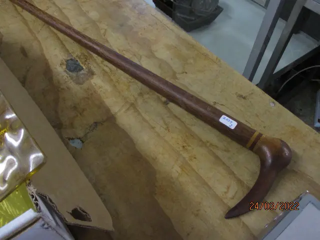 Pitcairn Walking Stick Image 1++