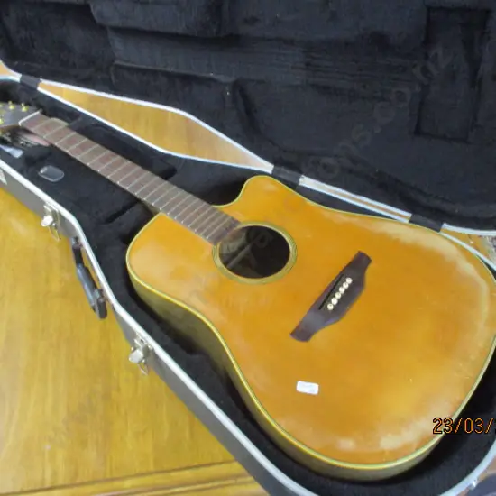 Guitar (rest)