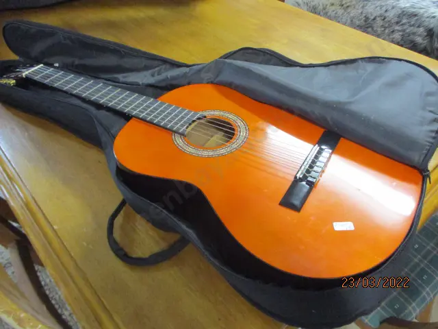 Ashton Guitar Image 1++