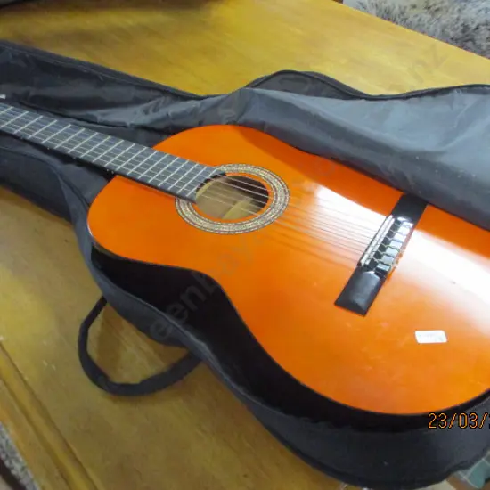 Ashton Guitar