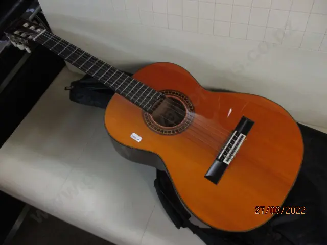 Aria Guitar Image 1++