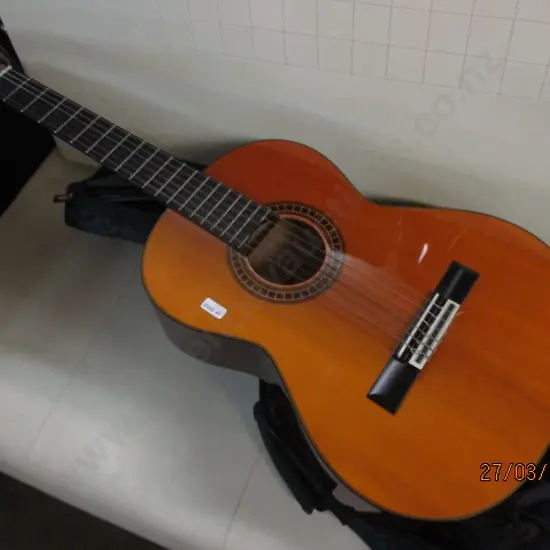 Aria Guitar