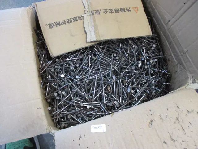 Nails Image 1++