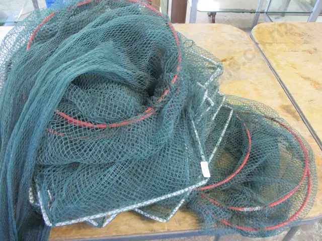 Eel Nets Image 1++