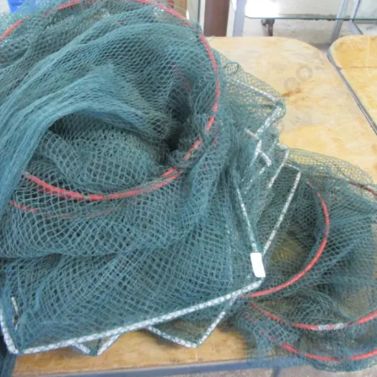 Eel Nets