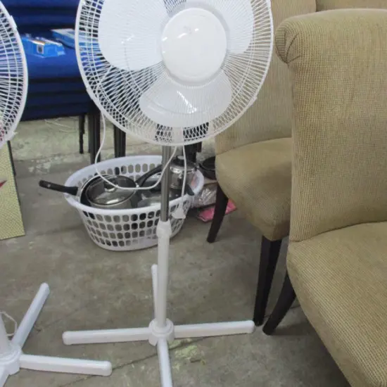 Fan