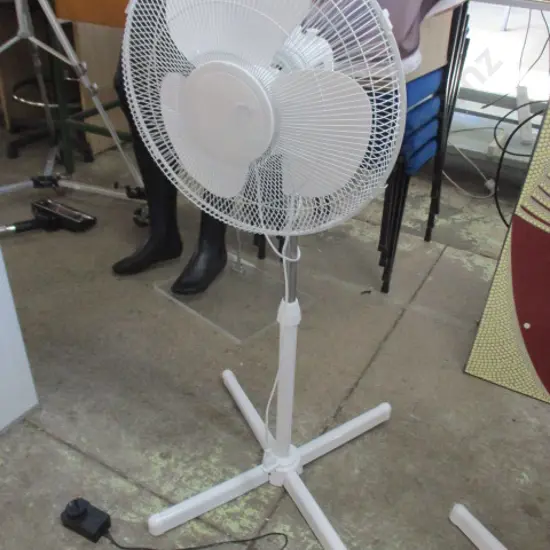 Fan