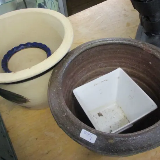 Plant Pots