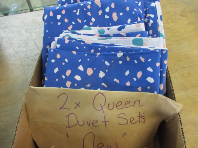 2 Queen Duvets Image 1++