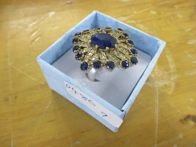 Ring Image 1++