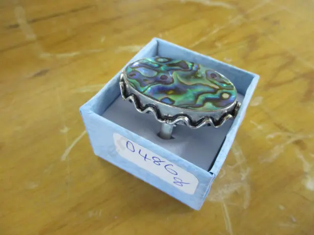 Ring Image 1++