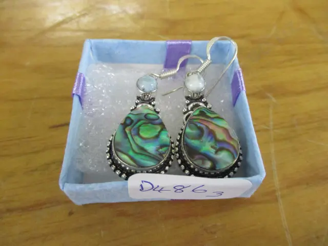 Earrings Image 1++
