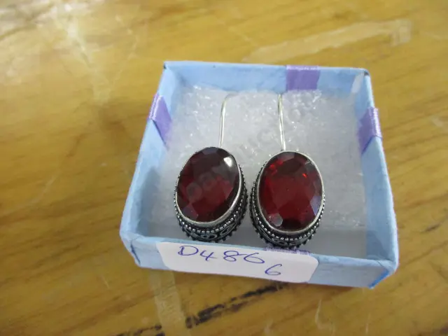 Earrings Image 1++