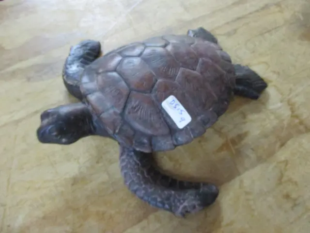 Turtle Image 1++