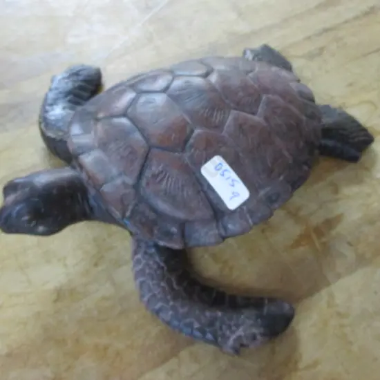 Turtle