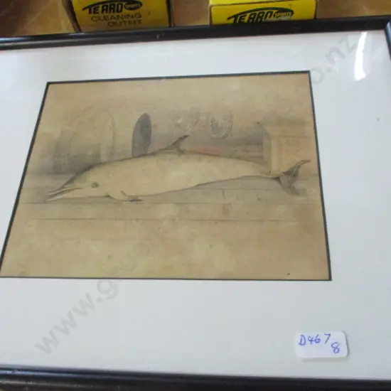Framed Dolphin