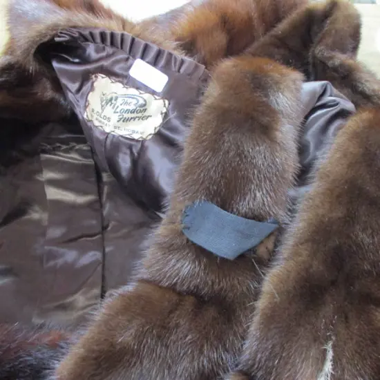 Fox Fur