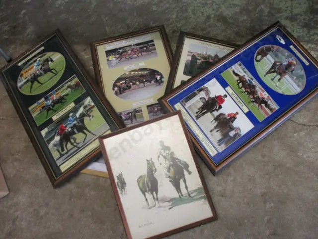 Racing Photos Image 1++