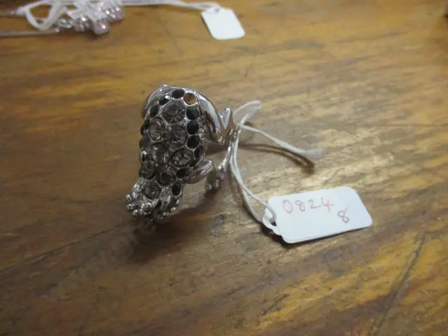 Silver Ring Image 1++