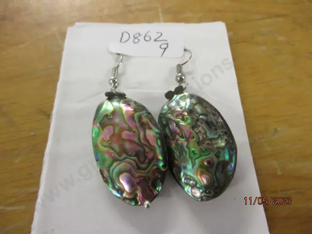 Earrings Image 1++