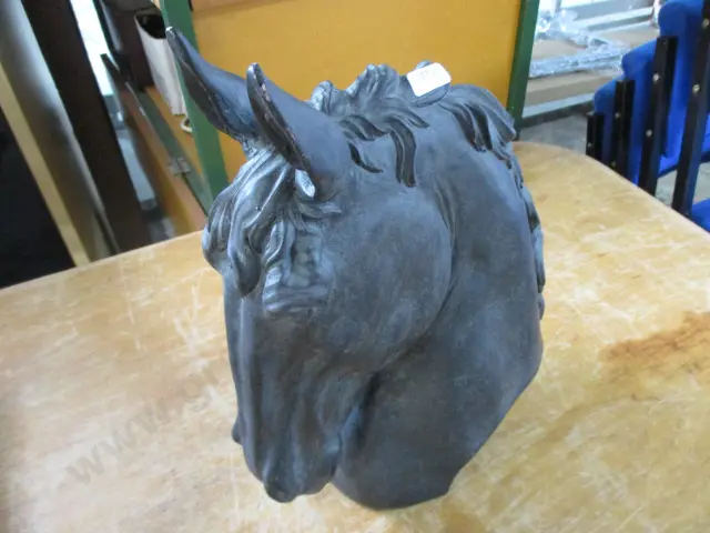 Horse Head Image 1++