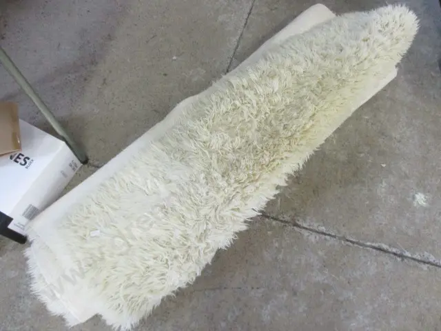 Rug Image 1++