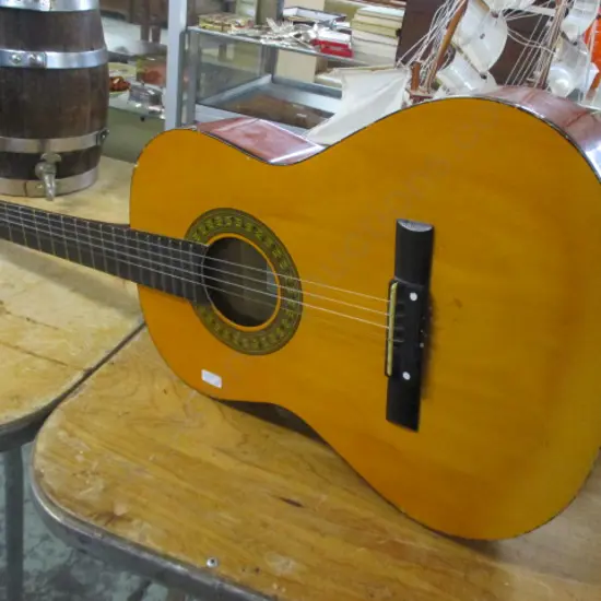 Guitar