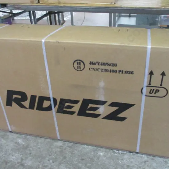 Electric Bike