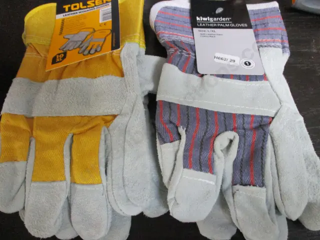 Gloves Image 1++