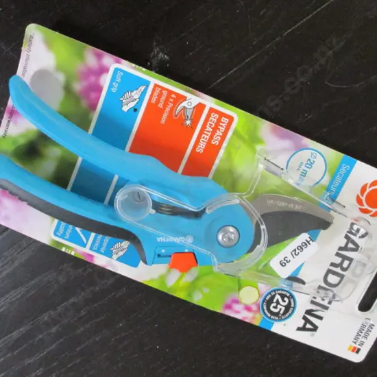 Pruner