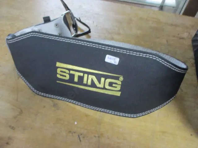 Lifting Belt Image 1++