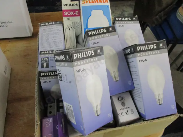 Bulbs Image 1++