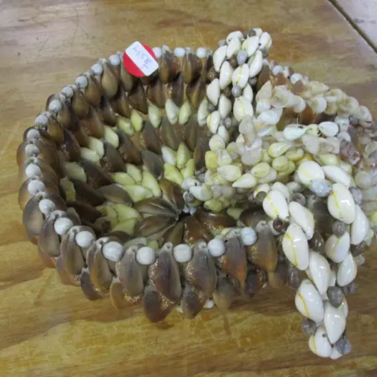 Shells