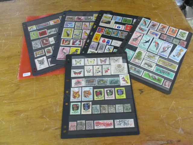 Stamps Image 1++