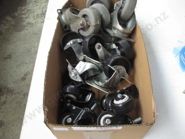 Castors Image 1++